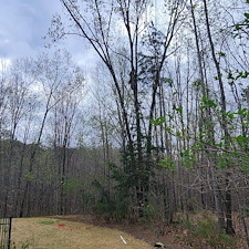 Tree-Removal-in-Seneca-SC-Expert-Service-by-4-Seasons-Lawn-Service 0
